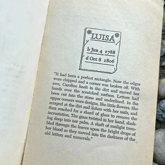 Vintage The Stone Carnation Gothic Pulp Paperback Book Naomi A. Hintze 1972 70s - Picture 5 of 7